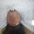 Becnaldo b