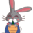 nh0xnoluv