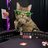 dinosama