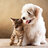 lamsaothenho